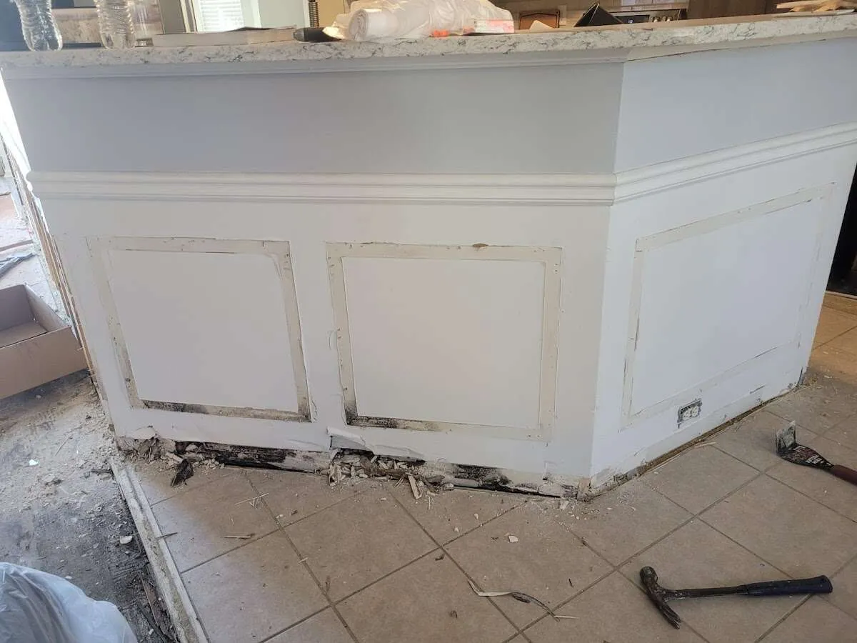 Water damage and mold on kitchen during Mold Inspection & Testing in Michigan City